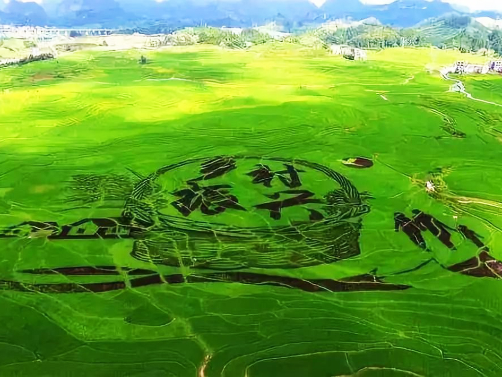 鄉(xiāng)村振興.jpg