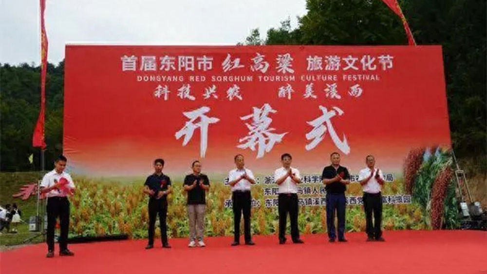 首屆東陽市紅高粱旅游文化節(jié).jpg
