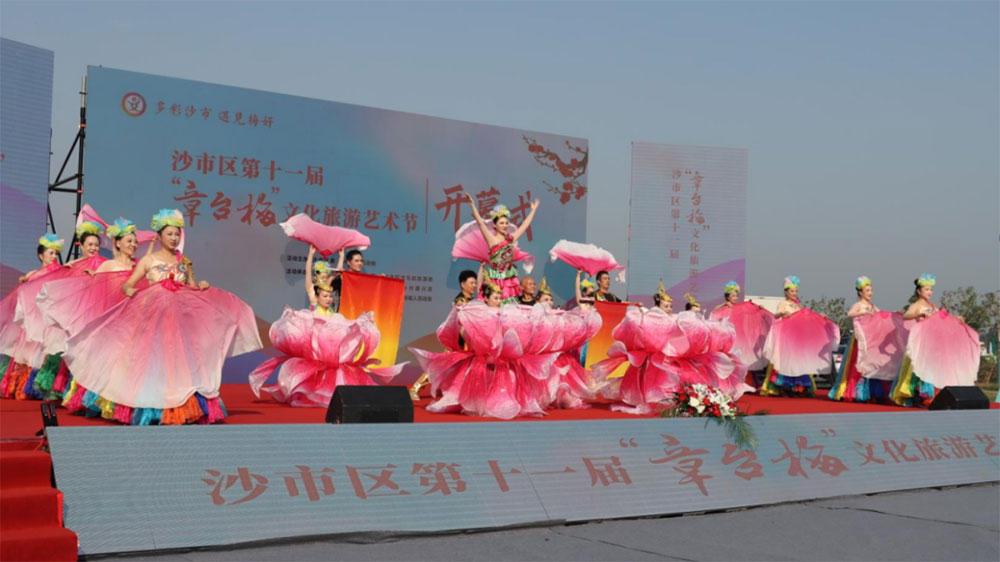 沙市區(qū)第十一屆“章臺(tái)梅”文化旅游藝術(shù)節(jié)現(xiàn)場(chǎng).jpg