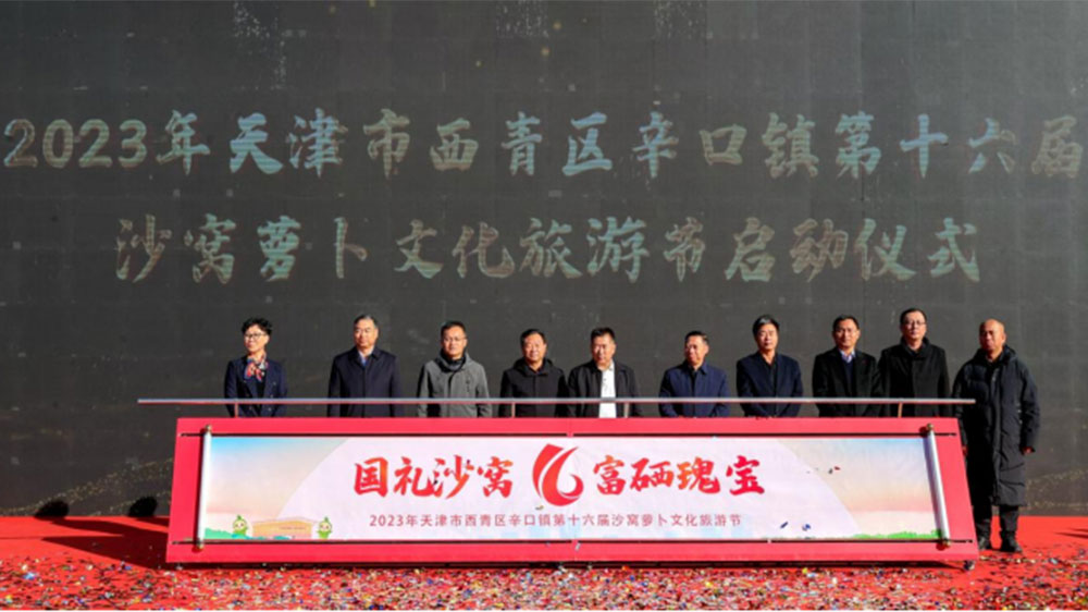第十六屆沙窩蘿卜文化旅游節(jié).jpg