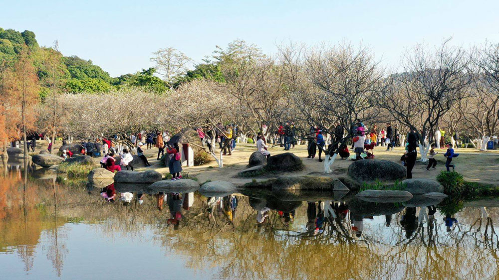 第十四屆蘿崗香雪文化旅游節(jié)現(xiàn)場(chǎng).jpg