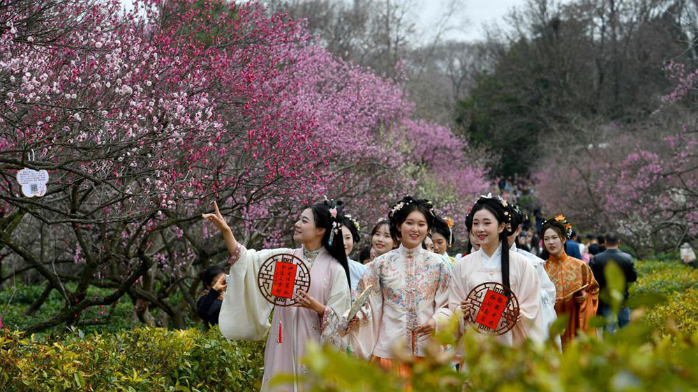 第二十九屆中國南京國際梅花節(jié)現(xiàn)場.jpg