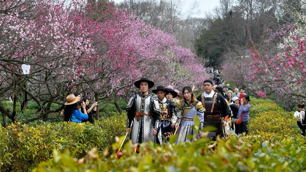 第二十九屆中國南京國際梅花節(jié)現(xiàn)場圖.jpg