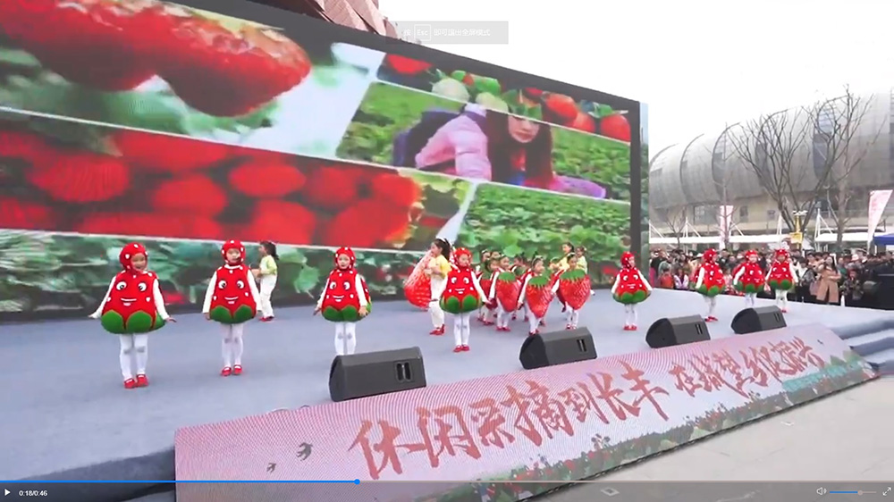 第二十一屆長豐草莓文化旅游節(jié)文藝表演.jpg