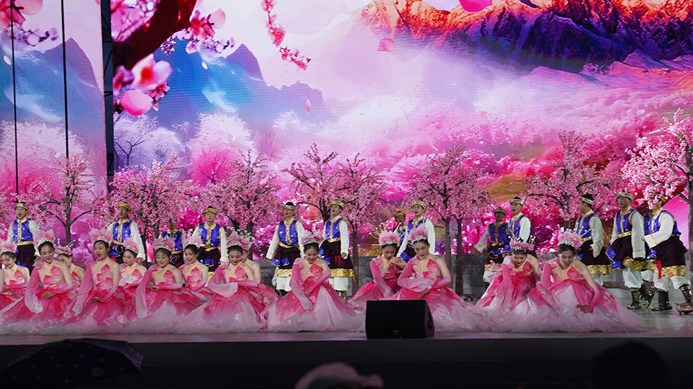 林芝第二十一屆桃花旅游文化節(jié)現(xiàn)場(chǎng)節(jié)目.jpg