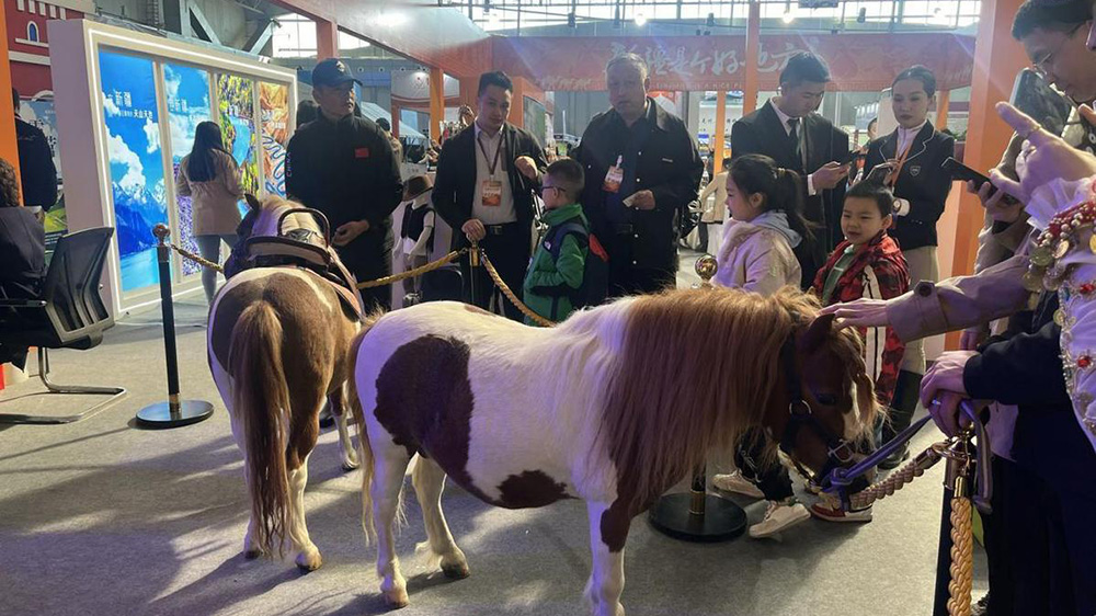新疆野馬國際展區(qū)“萌馬”互動(dòng).jpg