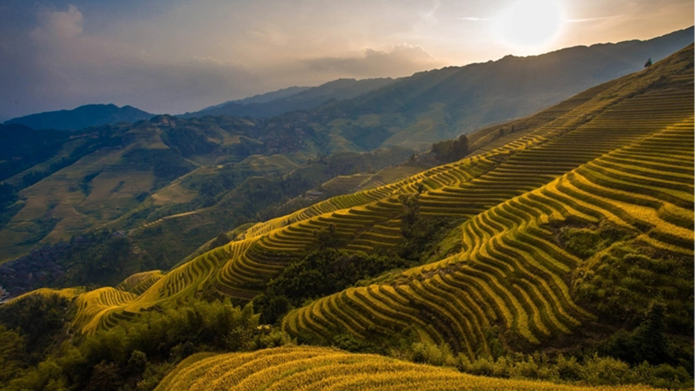 龍脊梯田.jpg