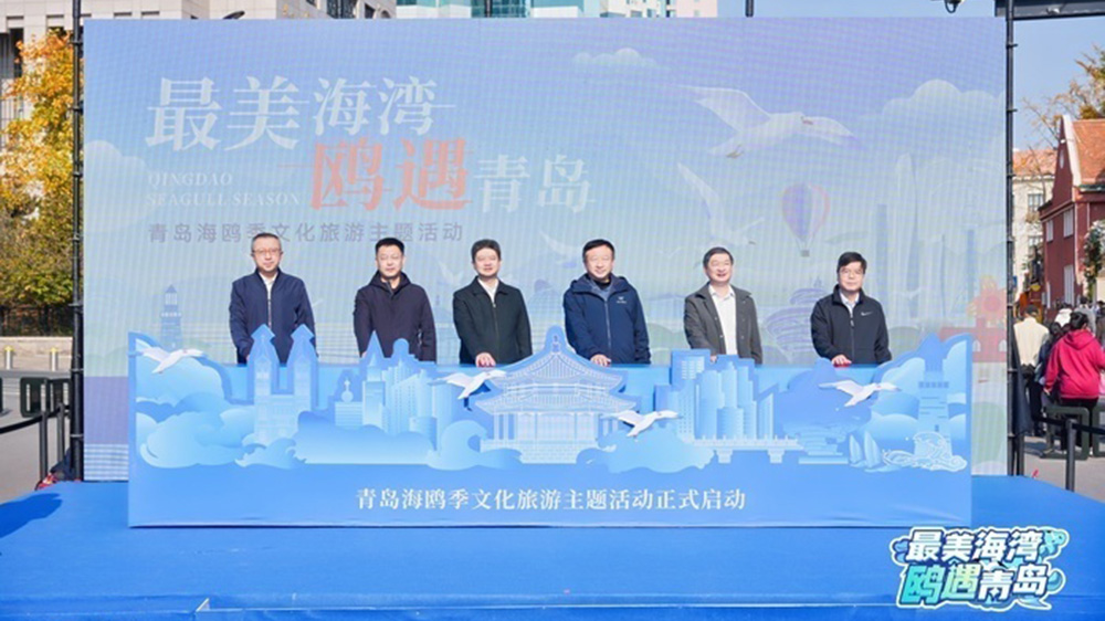 青島海鷗季文化旅游主題活動(dòng).jpg