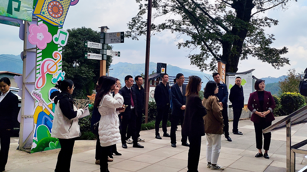 天馬山旅游度假區(qū)文旅融合提升項目迎檢1.jpg