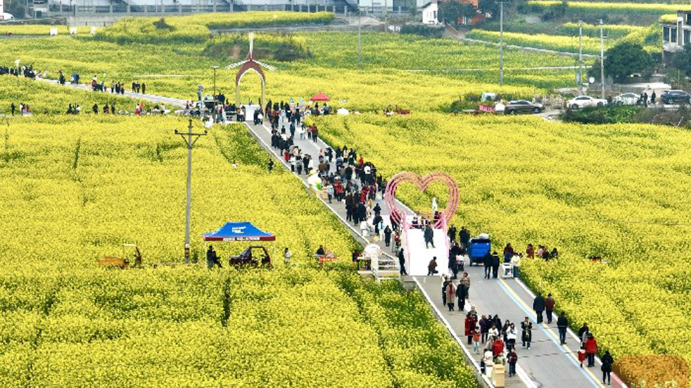 高縣慶嶺鎮(zhèn)游人如織.jpg
