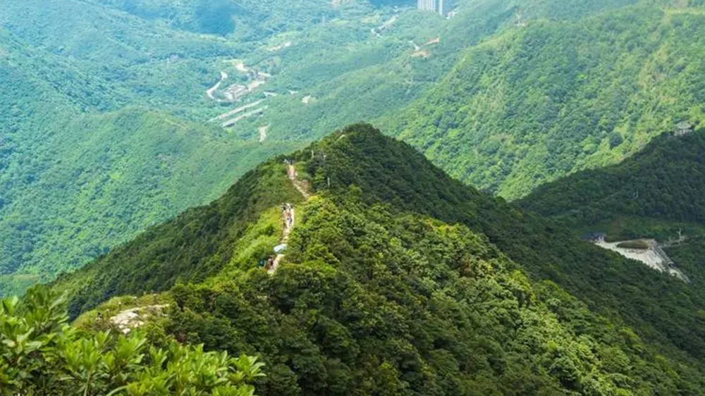 廣東：省森林旅游發(fā)展規(guī)劃出爐，“一帶、四區(qū)、六環(huán)、多點(diǎn)”促進(jìn)森林旅游健康發(fā)展！