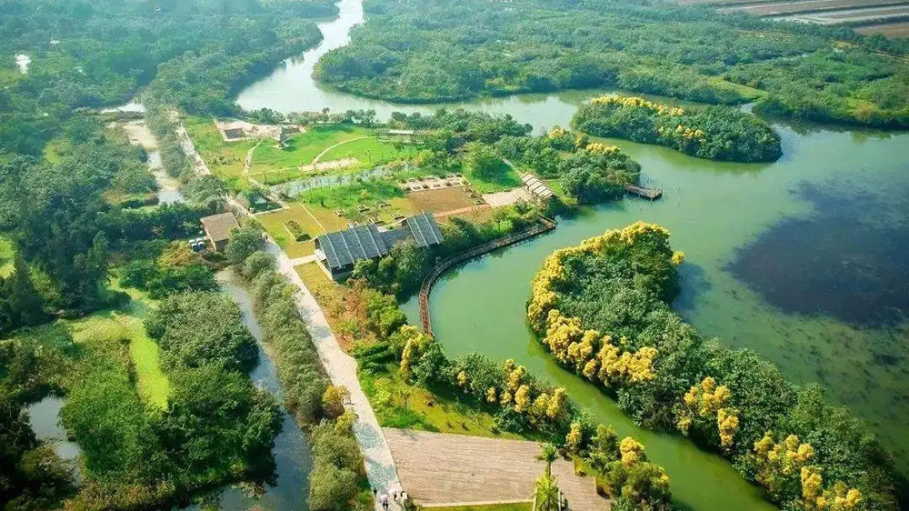 廣州：南沙區(qū)召開創(chuàng)建全域旅游示范區(qū)動員大會，奮力開創(chuàng)全域旅游發(fā)展的新局面！