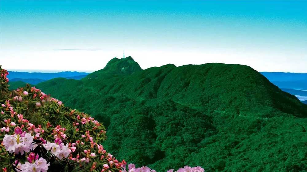 貓兒山風(fēng)景圖.jpg